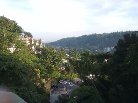 Kandy View